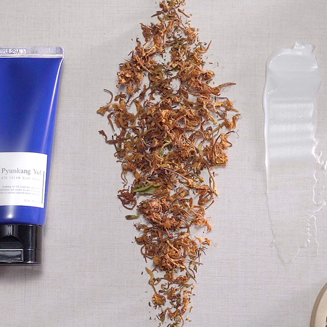 786c748c04b133fa854051e5ca2dcb35