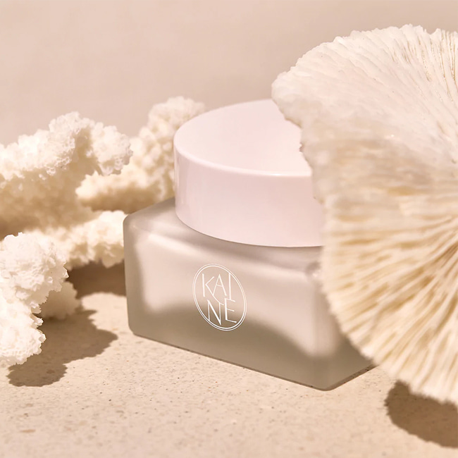 91e16ffff1ac7fbd2c272e14feda1892