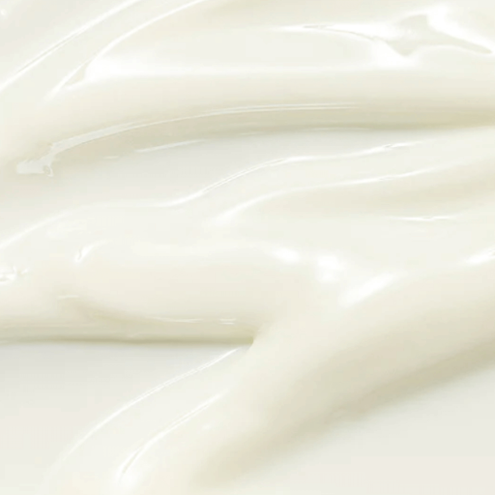 image-1-_63_-_1_
